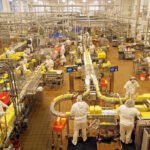 صنایع غذایی